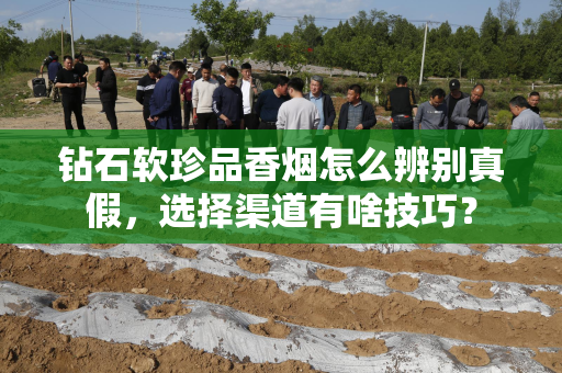钻石软珍品香烟怎么辨别真假，选择渠道有啥技巧？